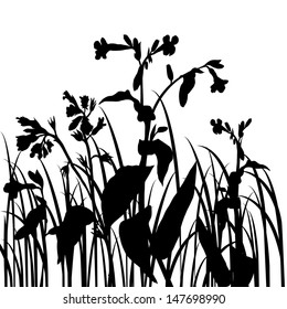 Silhouettes  of flowers and grass, vector illustration
