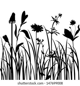 Silhouettes  of flowers and grass, vector illustration
