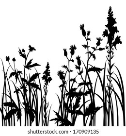Silhouettes  of flowers and grass, vector illustration