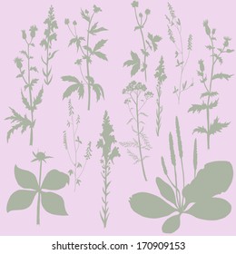 Silhouettes  of flowers and grass, vector illustration