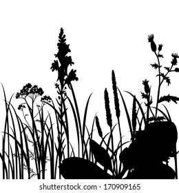Silhouettes  of flowers and grass, vector illustration