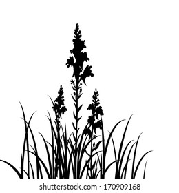 Silhouettes  of flowers and grass, vector illustration