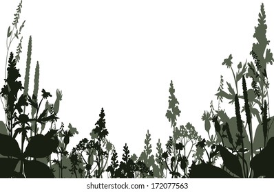 Silhouettes  of flowers and grass, vector illustration