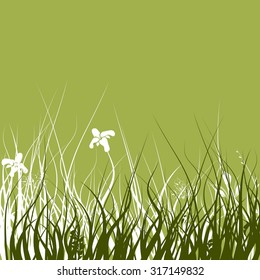 Silhouettes of flowers and grass. Vector illustration.
