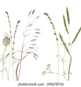 Silhouettes of flowers and grass, watercolor meadows,  painted green wild plants, decorative composition of cereals, hand drawn vector illustration