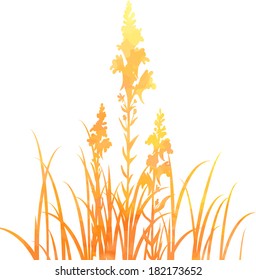 Silhouettes  of flowers and grass in watercolor, vector illustration