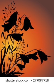 silhouettes of flowers and herbs against the evening sky