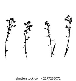Silhouettes of flowers, herbs in black. A set of isolated plant objects on a white background. Templates for the design of postcards, wedding invitations, for printing on fabric.