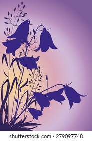 silhouettes of flowers and herbs on the background of the morning sky