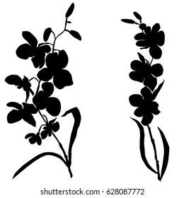 Silhouettes of flowers, orchids, vector, black color, isolated on white background, hand drawing