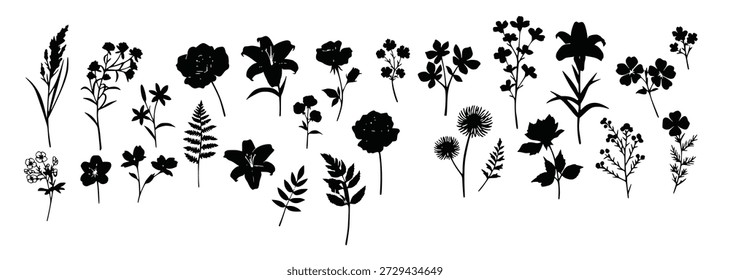 silhouettes of flowers and plants in isolation