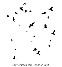 Silhouettes of flying birds, Black bird shapes against white background, Flock of birds in flight, Dynamic bird wing positions, Soaring and diving bird outlines, Minimalist bird illustration.