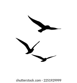 silhouettes of flying birds vector