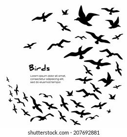 Silhouettes of flying birds, vector illustration. 