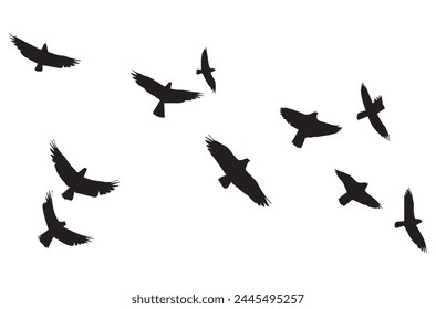 silhouettes flying birds Vector illustration
