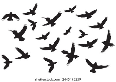 silhouettes flying birds Vector illustration