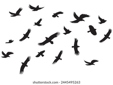 silhouettes flying birds Vector illustration