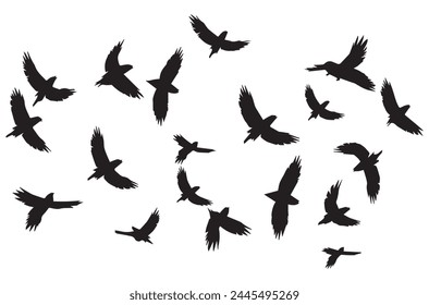 silhouettes flying birds Vector illustration