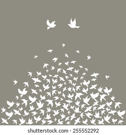 Silhouettes of flying birds, vector illustration.