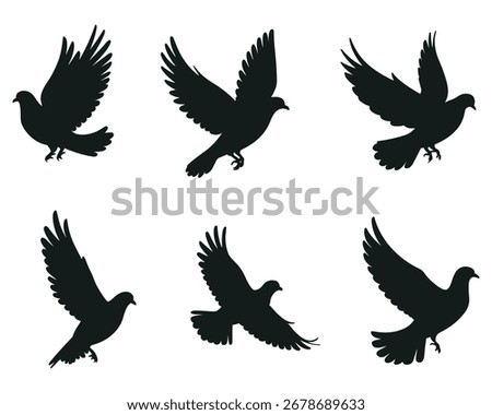 Silhouettes of Flying Doves vector. A Set of Flying Birds Silhouettes
