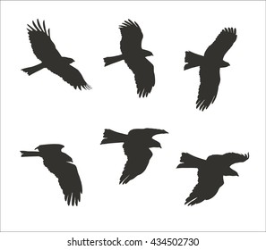 Silhouettes of flying eagle isolated on white