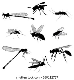 Silhouettes Of Flying Insects. Vector Illustration