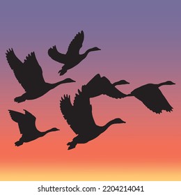 Silhouettes of flying migratory birds group