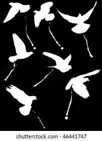 Silhouettes of flying pigeons and their droppings