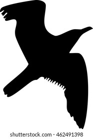 Silhouettes of flying seagull