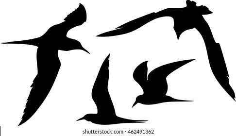 Siluetas de gaviotas voladoras