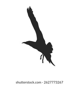 Silhouettes of flying seagulls hovering without background