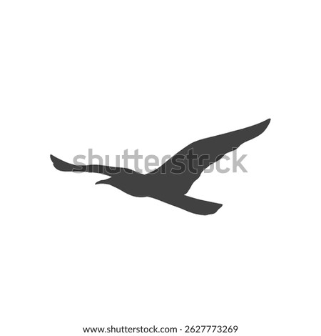 Silhouettes of flying seagulls hovering without background