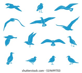 Silhouettes of flying seagulls. Vector Collection of Bird Silhouettes.