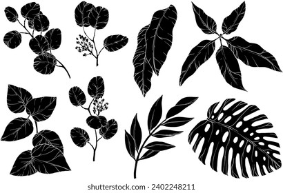 Silhouettes of Foliage, monstera, eucalyptus