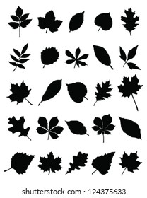 Silhouettes of foliage-vector