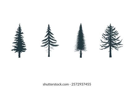 Silhouettes of four different coniferous trees on a white background
