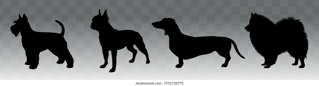 Silhouettes of four different dog breeds on a gradient background. The breeds include a terrier, a bulldog, a dachshund, and a Pomeranian. Vector set.
