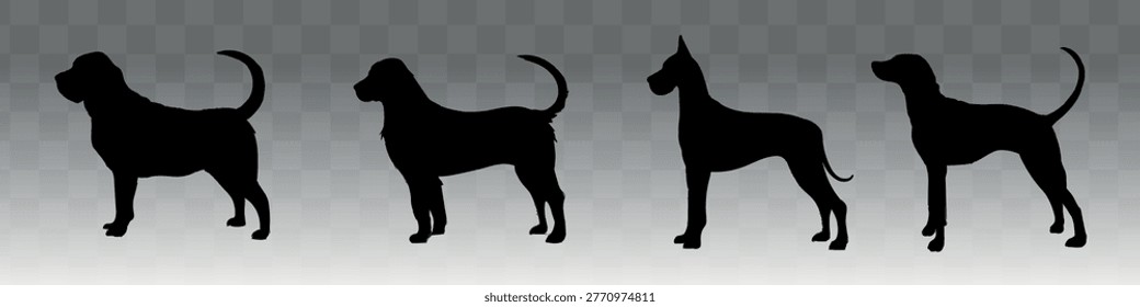 Silhouettes of four different dog breeds in profile view against a transparent checkered background, showcasing varied body shapes and tail positions. Vector set.