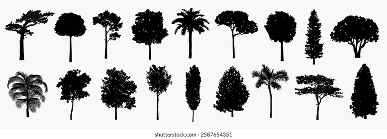 Silhouettes of four different trees, including palm and deciduous varieties, on a light green background. Tree shapes vary, showcasing diverse foliage. Nature illustrations, isolated vector set.