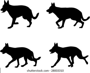 silhouettes of  german shepard - vector