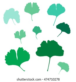 Silhouettes of Ginkgo biloba leafs. Set of silhouettes of ginkgo leaves on white background. Isolated vector illustration. Nature design