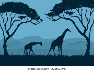 Silhouettes of giraffes landscape in the savanna. Vector illustration