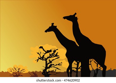 Silhouettes Giraffes On Prairie Africa Stock Vector (Royalty Free ...