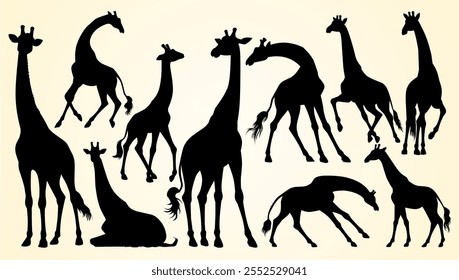 Silhuetas de girafas em várias poses, mostrando sua elegância e formas únicas.