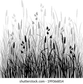 Silhouettes of grass, hand drawn vector illustration