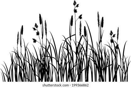 134,987 Hand drawn grass Images, Stock Photos & Vectors | Shutterstock