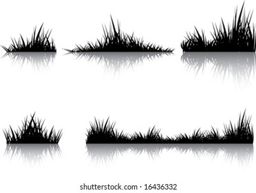 Silhouettes of grass with the reflection. Illustration conducted was used as the dummies for your composition.