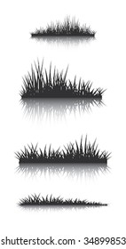 Silhouettes of grass with the reflection. Illustration conducted was used as the dummies for your composition.