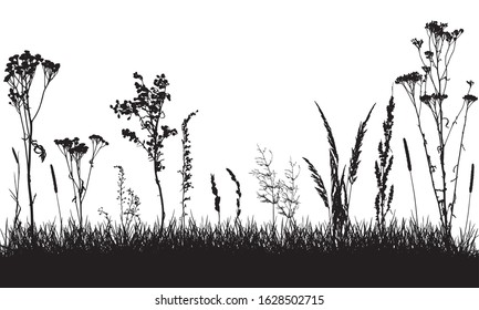 Silhouettes of grass and wild weeds, field. Plants are separated from grass. Vector illustration.