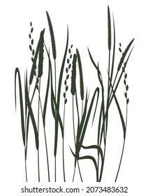 Silhouettes of grasses on a white background